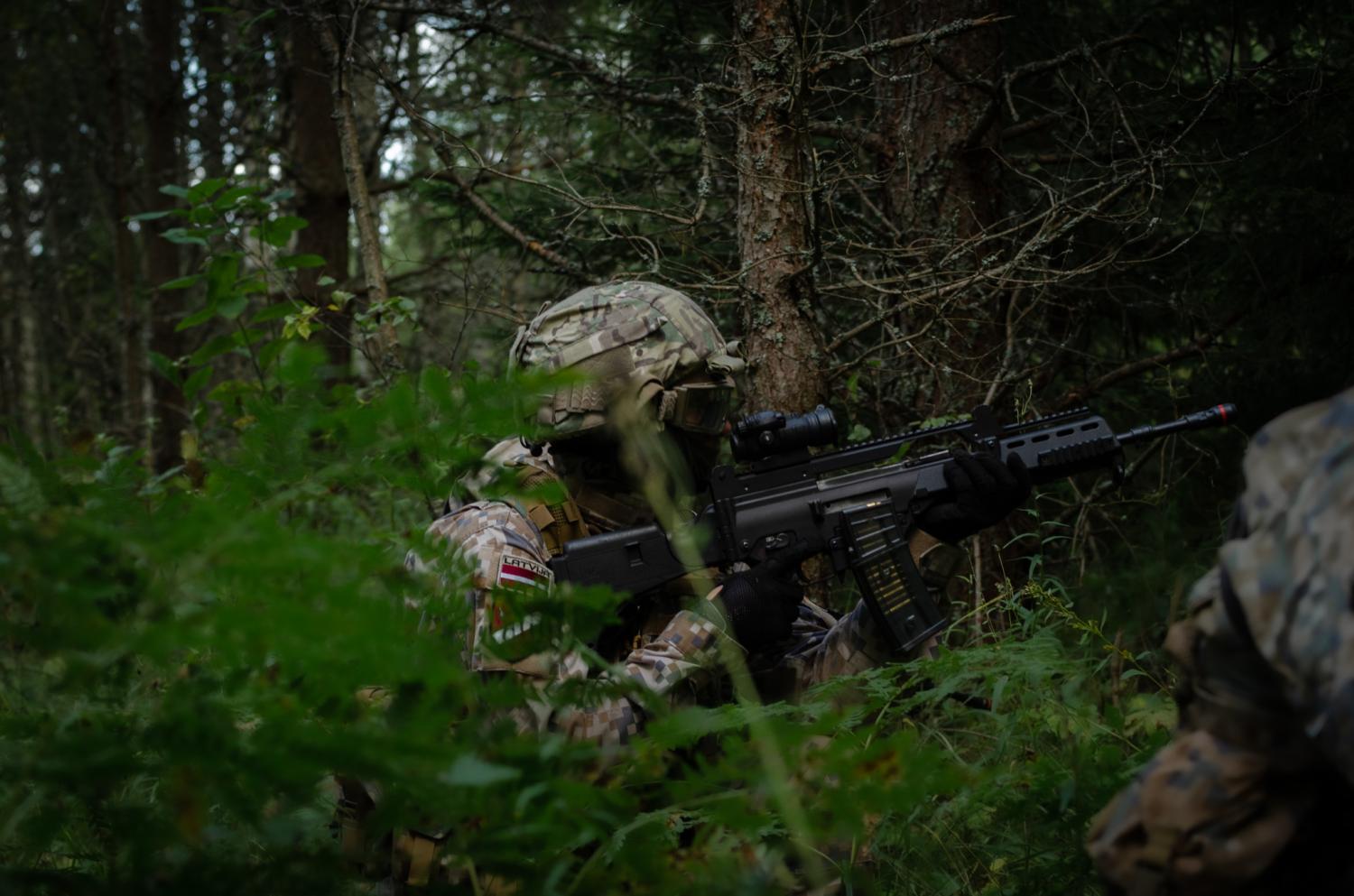Karavīrs mežā