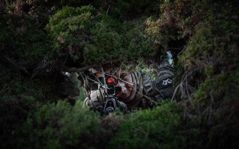 Zemessargs mācībās